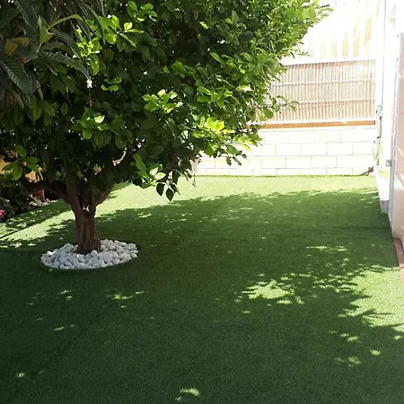 Con Vistas Al Mar Y Con Piscina *