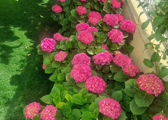 Сasa de vacaciones Con Vistas Al Mar Y Con Piscina Alicante